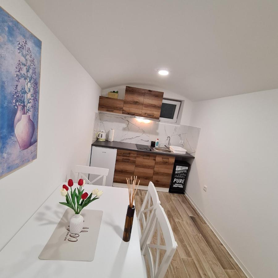 Apartment Dinlux Maribor Exteriér fotografie